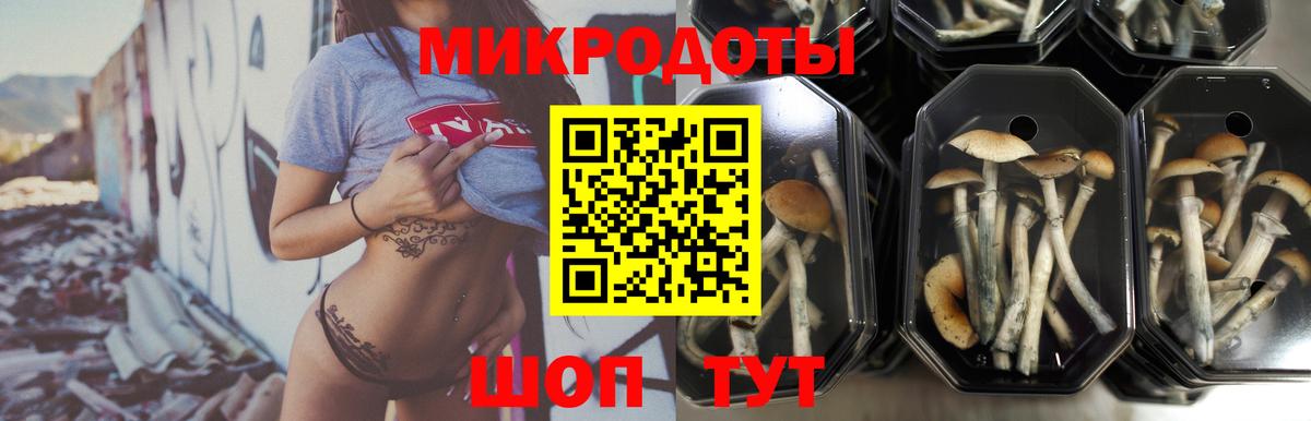 Псилоцибиновые грибы MAGIC MUSHROOMS Пугачёв