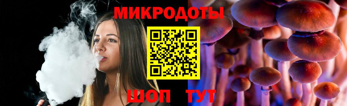 Псилоцибиновые грибы Psilocybine cubensis  Вход с VPN  Пугачёв 